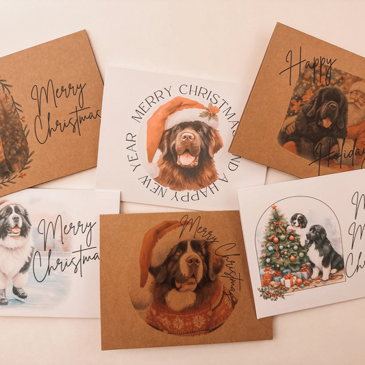 Newfoundland Christmas Greeting Cards Set of 6, 12, or 24