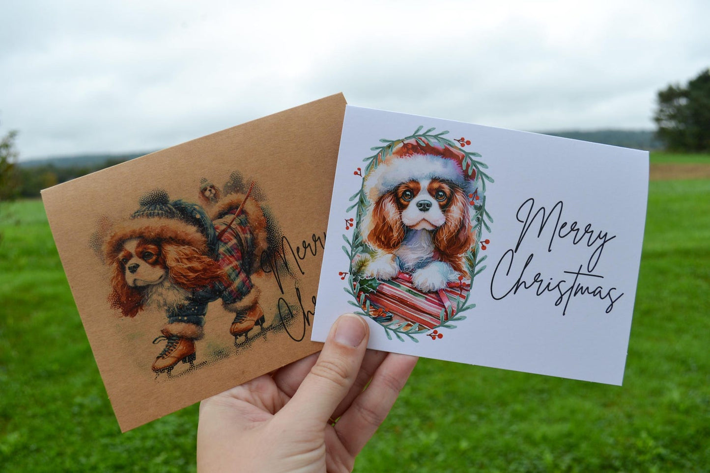 Cavalier King Charles Spaniel Christmas Greeting Cards Set of 6, 12, or 24