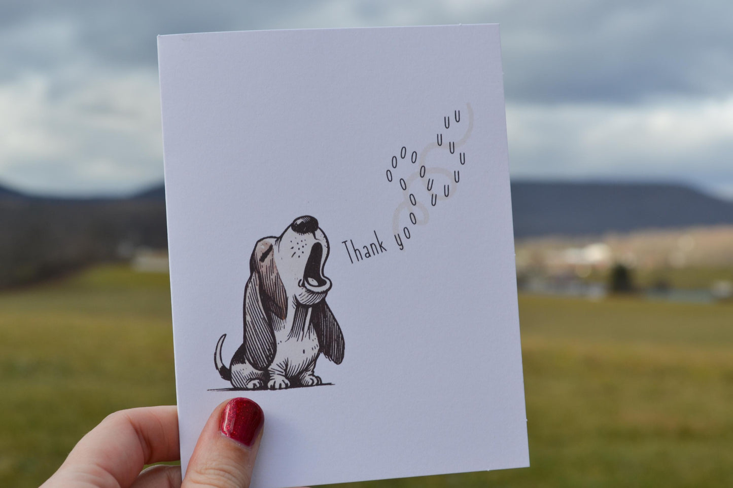 Basset Hound Thank You Card - Blank Inside - Thanks Appreciation Greeting